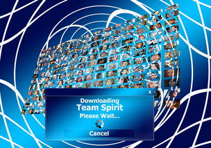 开云体育网页版-决赛MVP背后的团队协作密码,总决赛mvp奖杯叫什么