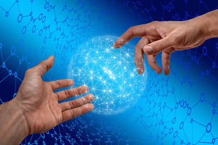 开云体育APP下载-德国仰泳项目技术稳定提升，德国仰泳项目技术稳定提升方案